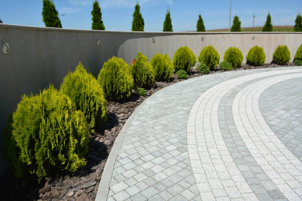 Best Driveway Paving Contractor  in Bunk Foss, WA